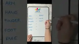 Spanish Body Parts: Arm to Leg 💪🦶