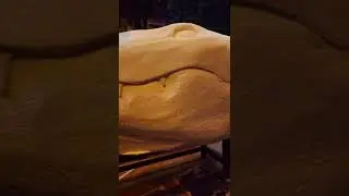 Universal studios Orlando Florida 2022 mardi gras gator float building Model