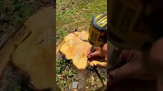 Nail vs Screw Shear Strength Test #tips #shorts #viralshorts