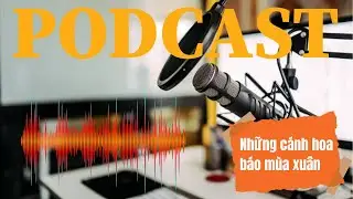 300 - Những c&aacute;nh hoa b&aacute;o m&ugrave;a xu&acirc;n | BaoPhuNuTPHCM