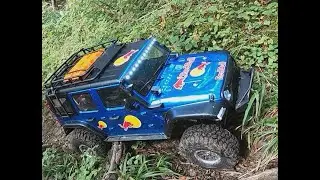 Crawlen im Agathazeller Wald