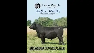 Irvine Ranch - Annual Production Sale