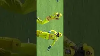 Chennai Super Kings(CSK) 4K Status