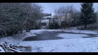 Spring cleaning in winter!