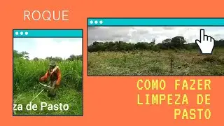 Como fazer limpeza de Pasto