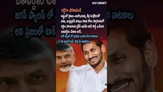 Jagan Directs YCP MPs to Fight for AP Rights, Farmers' Crisis in Parliament | Ap Politics