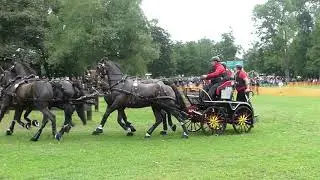 He&szlig;, Sebastian, Ger, FEI EU CH H4, CHI Donaueschingen, Marathon Ob 6, 17 08 2019