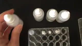 Enzyme M Test for NY Biodiversity Lab