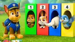 Paw Patrol 3D Animation: Chase Learns Numbers and Colors with Animal Friends | Rainbow 3