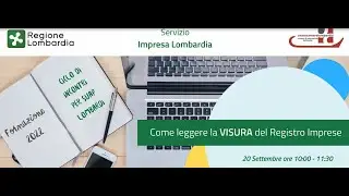 Webinar 9: Come leggere la visura del Registro delle Imprese (20.9.2022)