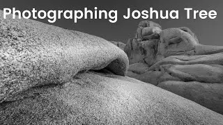 Photographing Joshua Tree National Park