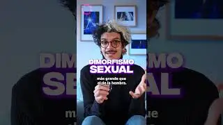Machos Alfa
