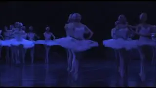 Shanghai Ballet - Het Grootste Zwanenmeer ter Wereld