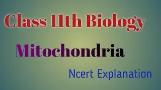 Class 11th Biology !! Cell: The Unit of Life !! Mitochondria !! Power house of the Cell.