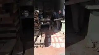 ceviz ağacı dip&ccedil;ik yapma