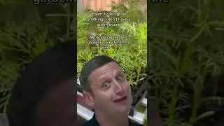 Green Thumbs Are A Myth