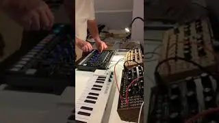 Roland TR-8S + Moog DFAM & Mother 32