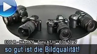 Bildqualität Canon EOS R - Nikon Z6 - Sony A7 III - EOS 5D IV