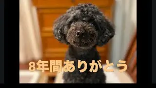 8年間ありがとう😊