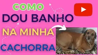 COMO DOU BANHO NA MINHA CACHORRA