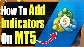 How To Add Indicators To Your Charts On MetaTrader 5