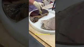 Black Walnut prep. #wood #woodwork #viral #woodworking #liveedgetable #epoxywood #resinart