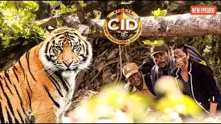 বেঙ্গালি টাইগার দেখে পূর্বী এবং পঙ্কজের মন খাঁচা হয়ে গেছে || CID Bangla || New Episode ||