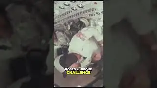 Struggling in Space: Battling Zero Gravity Challenges