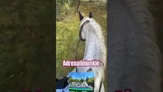 Mein Pferd ist ein Adrenalinjunkie 🐴 Reiten im Gel&auml;nde #ausritt #ausreiten #gel&auml;ndereiten