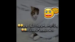 Winter Funny Poetry 2026 latest Best Poetry In Urdu