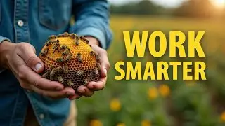 Homestead Hacks- Work smarter, not harder