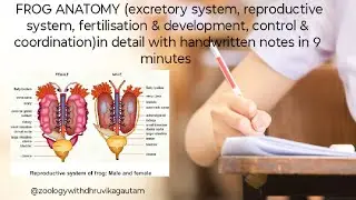 Part 6 frog anatomy (excretory system,reproductive system,fertilisation & development,control & cor.