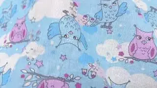16686