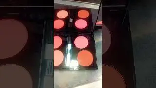 Christine professional Blush on 4 color kit