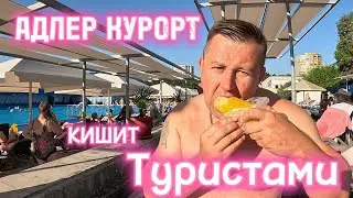 #сочи АДЛЕРКУРОРТ / КИШИТ ТУРИСТАМИ  / ЦЕНЫ ОПЯТЬ ВЫРОСЛИ 🦈💰