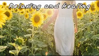Fields That Remember Us &ndash; Nostalgic American Folk Music Inspired by Rural Life