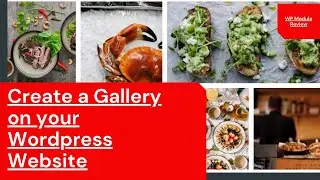 Best Wordpress Gallery Plugin