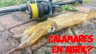 Pescando CALAMARES en Abril!
