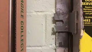 Ant infestation in Commercial Property.