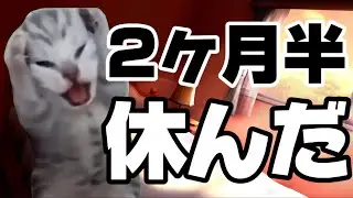 【退職記念】うつ病で2ヶ月半休職していた時の話 #猫ミーム #猫マニ