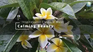 Classical Music to Relieve Stress, Anxiety and Depression - Inspirational Quotes - 4K, HDR