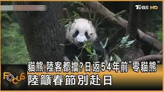 貓熊.陸客都擋? 日返54年前「零貓熊」 陸籲春節別赴日｜方念華｜FOCUS全球新聞20260127 @tvbsfocus