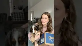 Chewy dog toy unboxing 🐾 #dachshund #chewy #unboxing