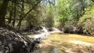 Grand River Trail Footage 2025
