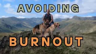 Burnout & Mental Health | Dog Walker | 