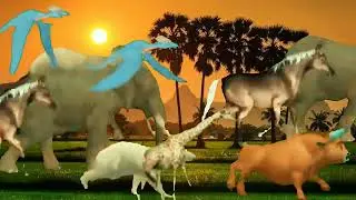 Bier zebra unt horos elephant donkey monkey horn Ganda janvaro ki jabardast running funny junglee TV