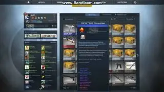 Выпал кейс с ESL Cobl :D
