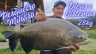 Sistemas Fatal do Pesqueiro Mihara