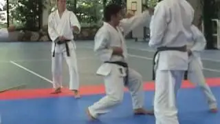 Wadoryu karate KATA - Nukina Nobuyuki 和道流 空手 形 貫名 信行 育英館 空手 道場