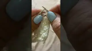 Ажурный узор спицами. Рапорт узора 3 петли и 4 ряда.